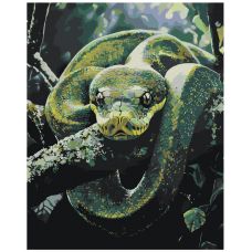 Gleznas pēc numuriem EVEE-snake-0021