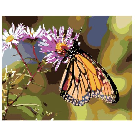 Gleznas pēc numuriem KTMK-butterfly01