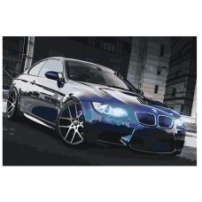 Gleznas pēc numuriem "BMW" MDMD-DI-CAR03