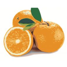 Gleznas pēc numuriem MDMD-DI-ORANGE