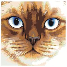 Gleznas pēc numuriem "Kaķis ar zilām acīm" A110