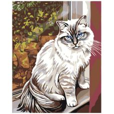 Gleznas pēc numuriem "Skaistais kaķis" A111