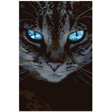 Gleznas pēc numuriem "Kaķis ar zilām acīm" A452
