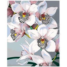 Gleznas pēc numuriem "Baltās orhidejas" F45