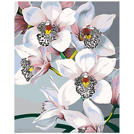 Gleznas pēc numuriem "Baltās orhidejas" F45