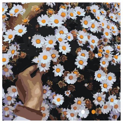 Gleznas pēc numuriem MDMD-PR-148 Gleznas pēc numuriem MDMD-PR-148