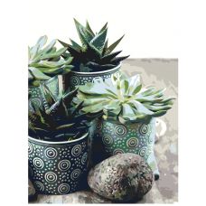 Gleznas pēc numuriem "Kaktusi" TSKK-cactus