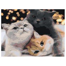 Gleznas pēc numuriem "Trīs kaķi" UI.O-Kotiki33
