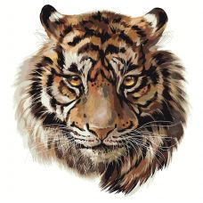 Gleznas pēc numuriem "Tīģeris" Z-AB45