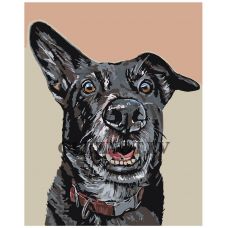 Gleznas pēc numuriem "Melns suns" A100