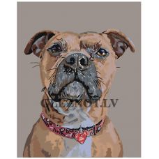 Gleznas pēc numuriem "Suns" A101