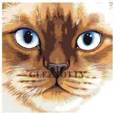 Gleznas pēc numuriem "Kaķis ar zilām acīm" A110