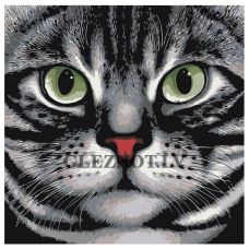 Gleznas pēc numuriem "Kaķis" A119