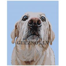 Gleznas pēc numuriem "Suns" A139