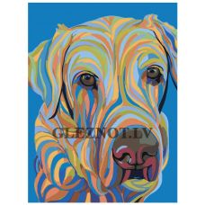 Gleznas pēc numuriem “Varavīksnes suns” A145