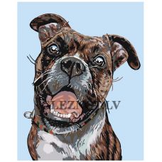 Gleznas pēc numuriem "Pārsteigtais suns" A149