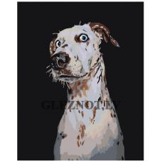 Gleznas pēc numuriem “Pārsteigtais dalmācietis” A151