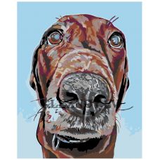 Gleznas pēc numuriem “Suņa deguns” A152