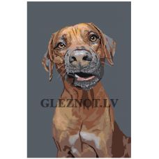 Gleznas pēc numuriem "Suns Basters" A169