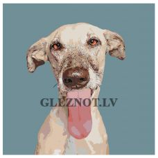 Gleznas pēc numuriem "Suns Kinzija" A172