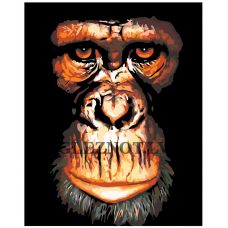 Gleznas pēc numuriem "Pērtiķa portrets" A179