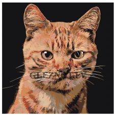 Gleznas pēc numuriem A207