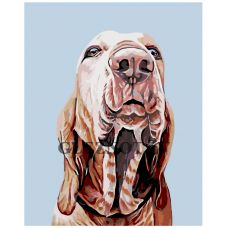 Gleznas pēc numuriem A215