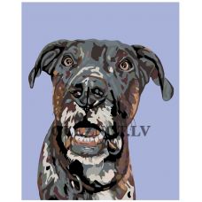 Gleznas pēc numuriem A218