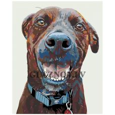 Gleznas pēc numuriem A219