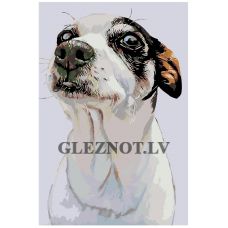 Gleznas pēc numuriem A228