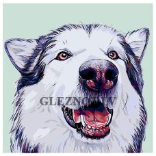 Gleznas pēc numuriem A231