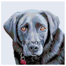 Gleznas pēc numuriem A232