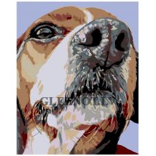 Gleznas pēc numuriem A234