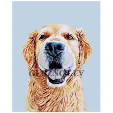 Gleznas pēc numuriem A237