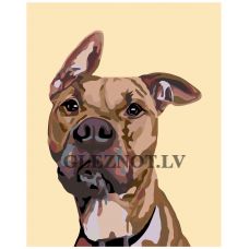 Gleznas pēc numuriem A243