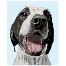 Gleznas pēc numuriem A248