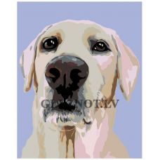 Gleznas pēc numuriem A259