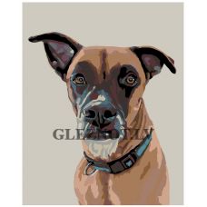 Gleznas pēc numuriem A271