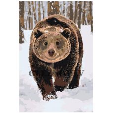 Gleznas pēc numuriem A282