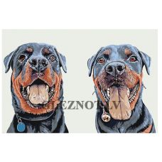 Gleznas pēc numuriem A302