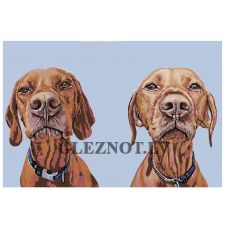 Gleznas pēc numuriem A303