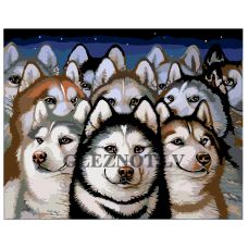 Gleznas pēc numuriem A306