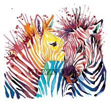 Gleznas pēc numuriem "Zebras" A361
