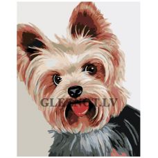 Gleznas pēc numuriem A371