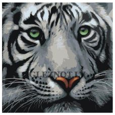 Gleznas pēc numuriem A373