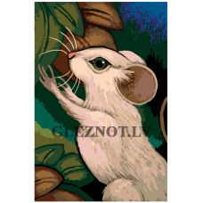 Gleznas pēc numuriem A381