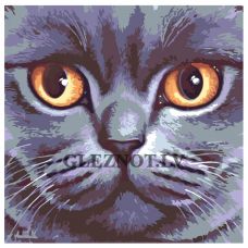 Gleznas pēc numuriem A383