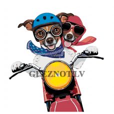 Gleznas pēc numuriem A401