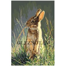 Gleznas pēc numuriem A404