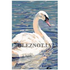 Gleznas pēc numuriem A408